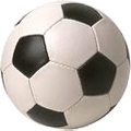 Liga banaka VI-2008